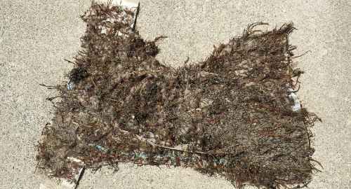 Nappy on the Beach Sparks EC Book — Papamoa Post